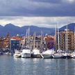 Yacht mooorings in Palermo