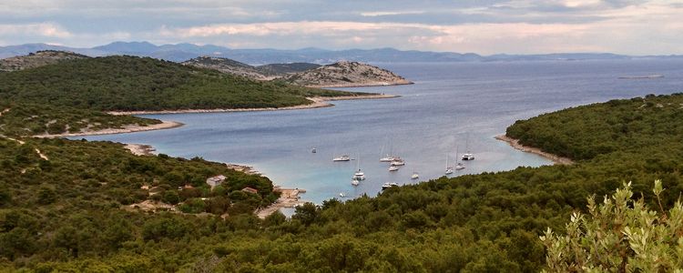 Yachts on mooring buoys in Stupica Vela Bay on Zirje Island