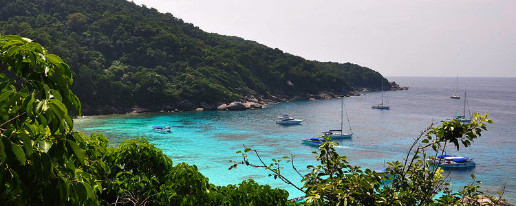 Yachts on mooring buoys and anchors in the north of Similan Island