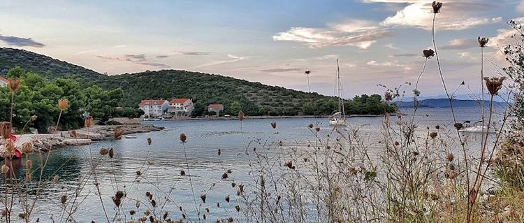 Yacht moorings in Zaglav