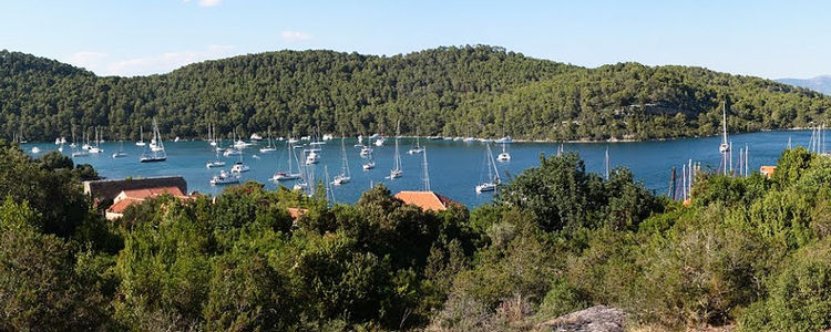 Yacht moorings in Polac Bay