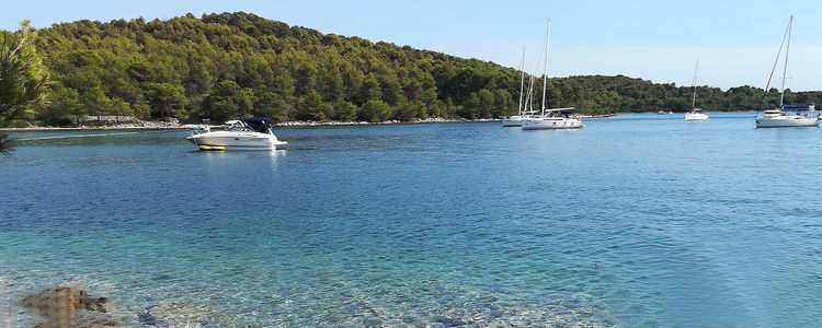 Yachts anchorage in Velika Sabusa Bay