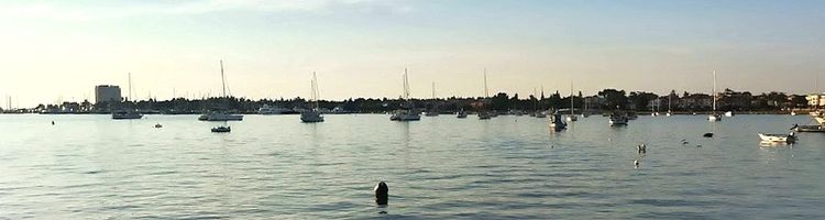 Yachts on mooring buoys in the eastern part of Umag Bay