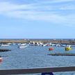 Yacht moorings in Port Linosa