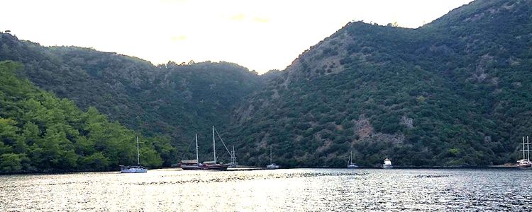 Yachts in Deep Bay