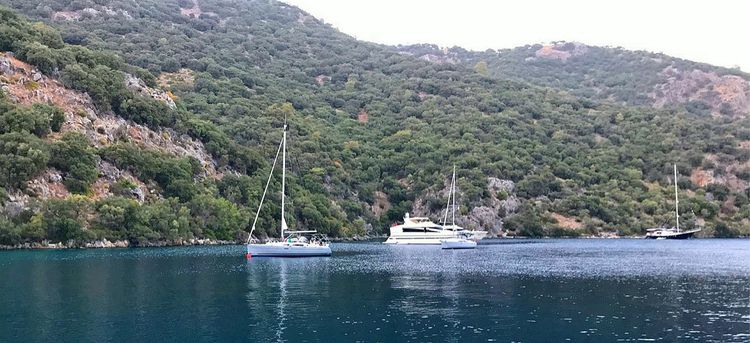 Yachts in Deep Bay