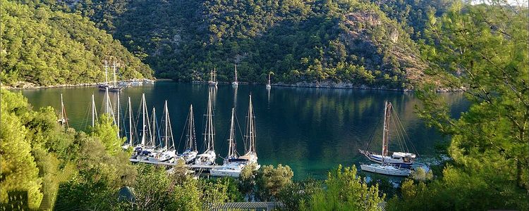 Yachts in Tombs Bay