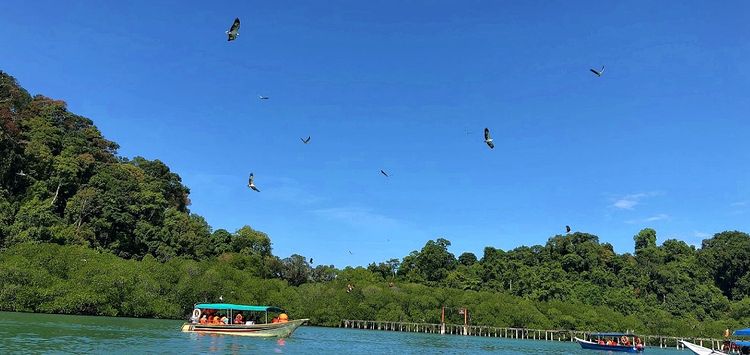 Botol Bay is a spot for eagle watching