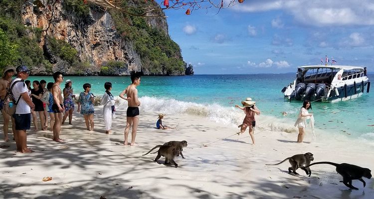 Monkey Beach on Phi Phi Don Island