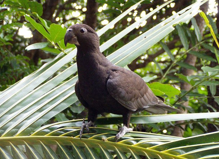 Valle de Maye Reserve