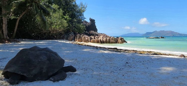 Curieuse Marine National Park