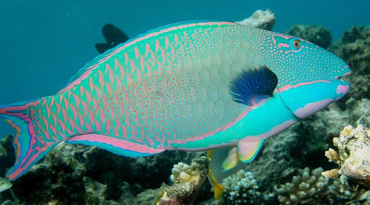 Curieuse Marine National Park