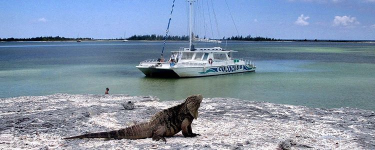 Iguan Island. Cayo Largo. Cuba.