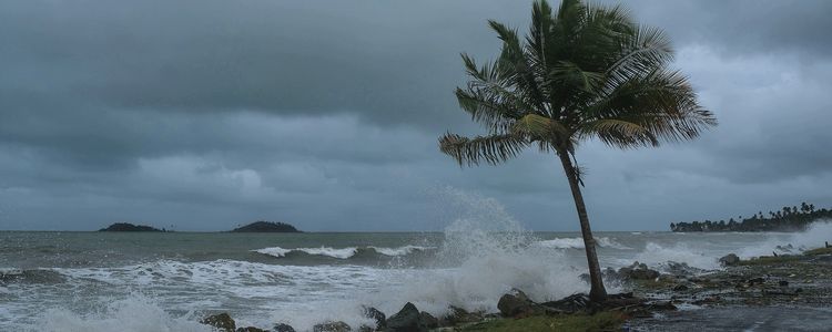 Saint Vincent and Grenadines weather and wind