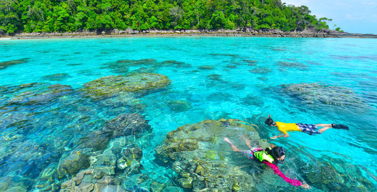 Surin National Park. Shallow coral reef.