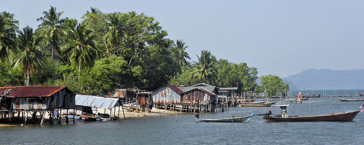 Ko Phra Tong