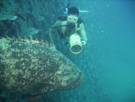 SCUBA or snorkeling is always fun