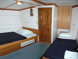 Guest Cabin