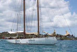 Coral at Anchor