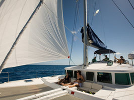 Foredeck/Forward Cockpit