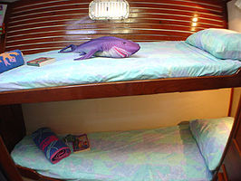 Guest Twin Stateroom