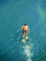 Snorkeling