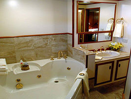 King Stateroom Bathroom