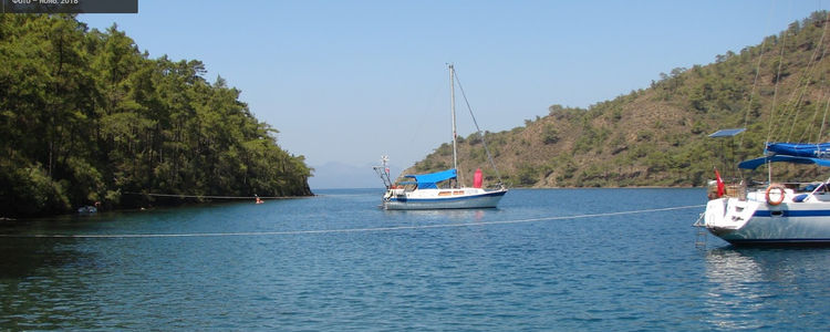 Yachts in Amazon Creek