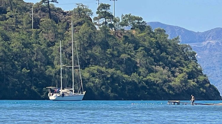 Yachts in Amazon Creek