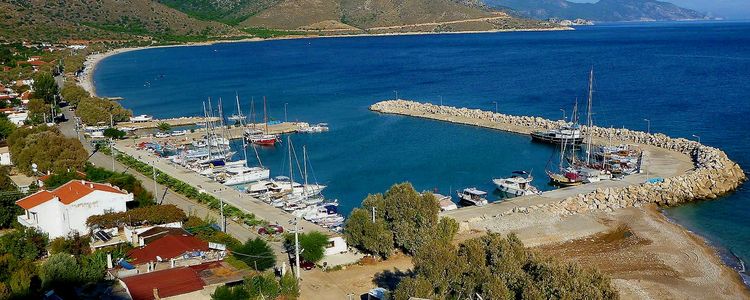 Yachts mooring in fishport Palamutbuku