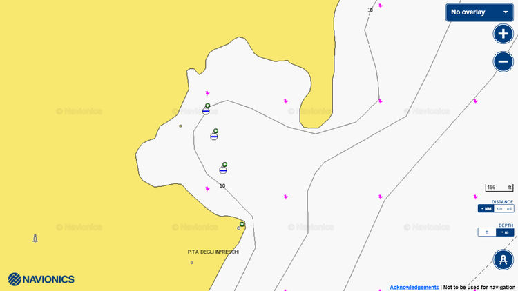 To open Navionics chart of Yacht mooring on buoys in Infreschi Bay