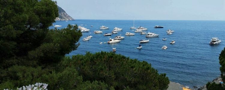 Yacht anchorage in Moneglia