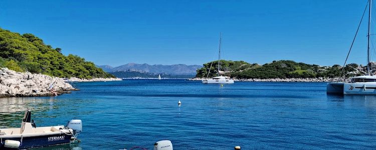 Open chart Navionics of the moorings of yachts on buoys in Podskolj Bay in the south of Mljet Island. Croatia