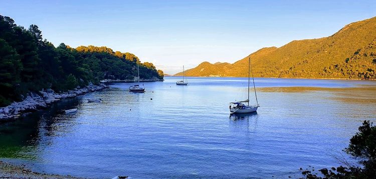 Yacht moorings in Sobra Bay