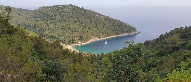 Yacht anchorage in Pupnatska Luka Bay