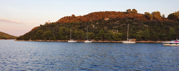 Yacht anchorage at Zvirinovik Island