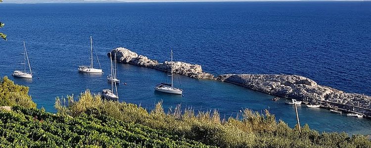 Yacht mooring on buoys in Velo Zarace Bay