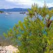 Yacht mooring at the buoys in Stupisca Bay