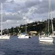 Yachts mooring at the buoys on Roseau roadstead