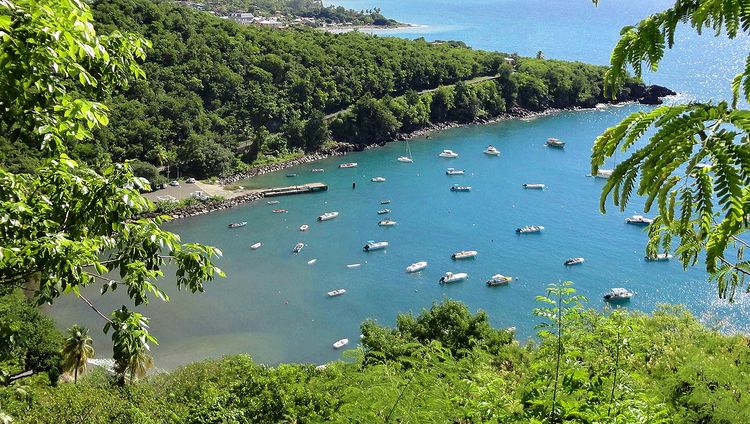 Yacht moorings on buoys and anchors in Barque Bay (Anse a la Barque)