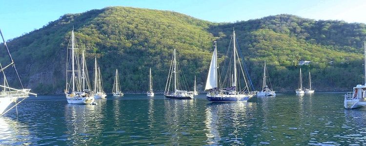 Yacht moorings on buoys and anchors in Deshaies Bay (Anse Deshaies)