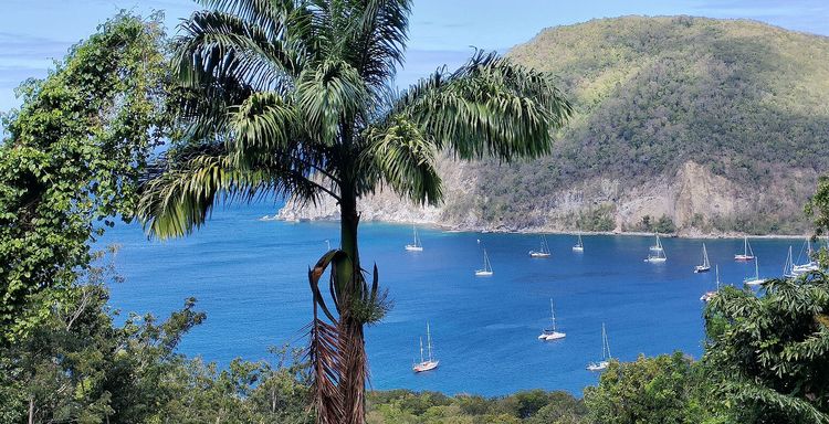 Yacht moorings on buoys and anchors in Deshaies Bay (Anse Deshaies)