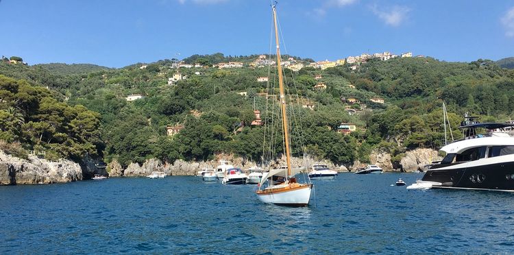 Yacht moorings in Maramoza Bay of Spezia Gulf