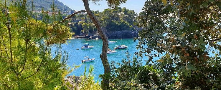 Yacht moorings in Fiascherino Bay of Spezia Gulf