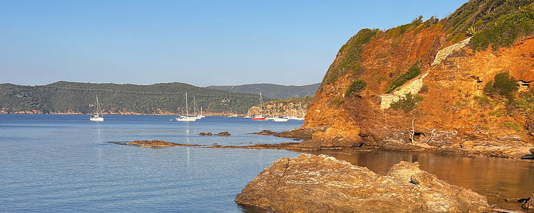 Yachts in Stella Bay. Elba Island. Italy