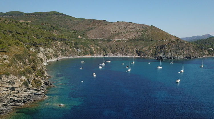 Yachts in Stella Bay. Elba Island. Italy