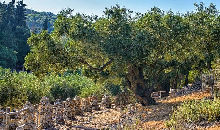 Askos Stone Park