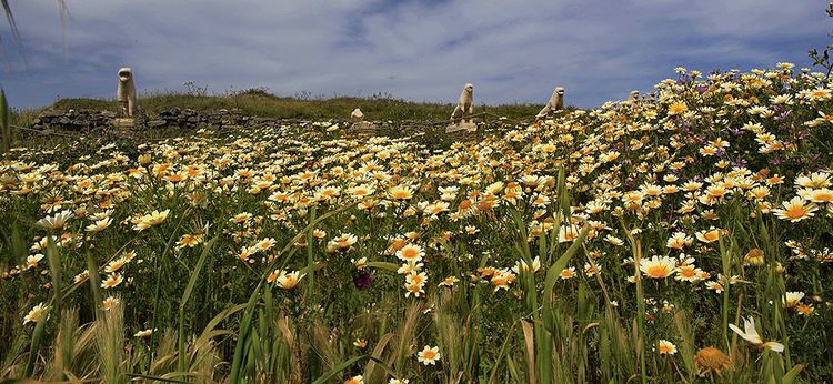 Delos Nature