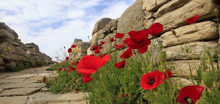 Delos Nature