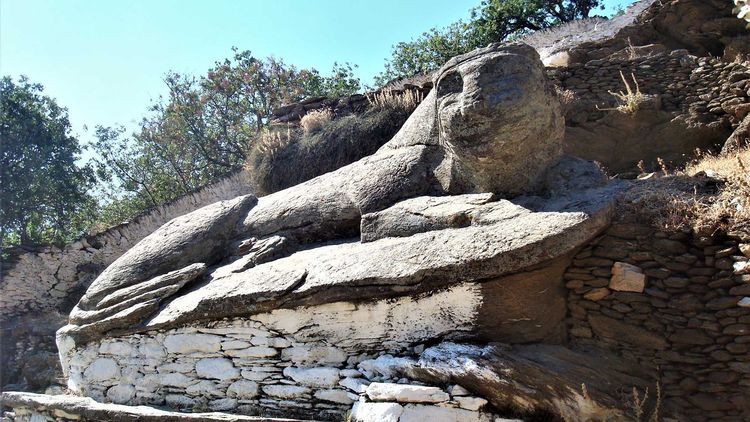 Kea  Stone Lion